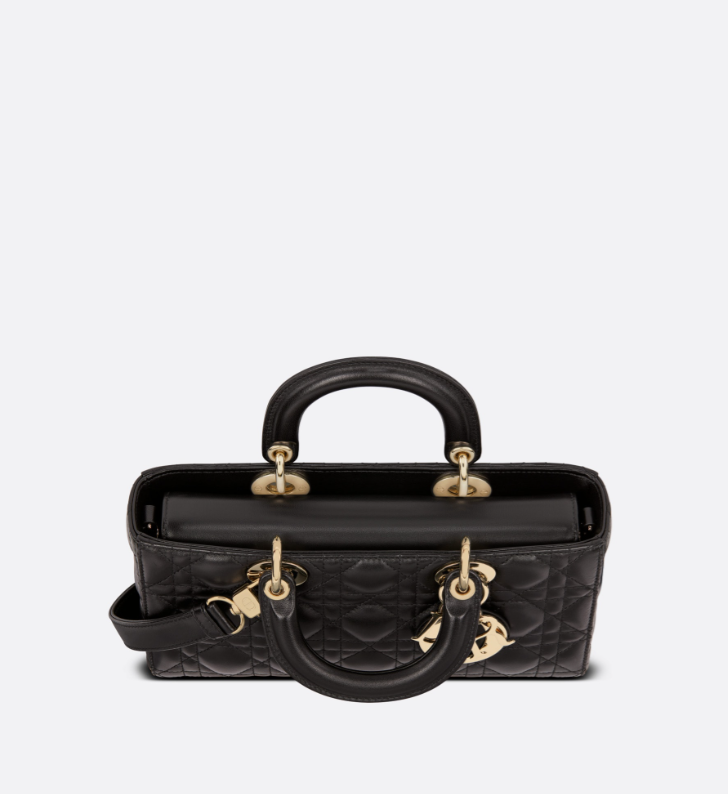 2025 Bag MEDIUM LADY D-JOY BAG